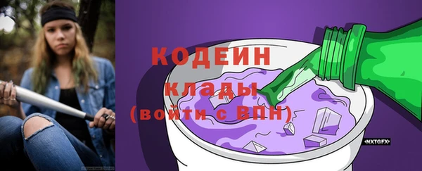 ГАЛЛЮЦИНОГЕННЫЕ ГРИБЫ Няндома