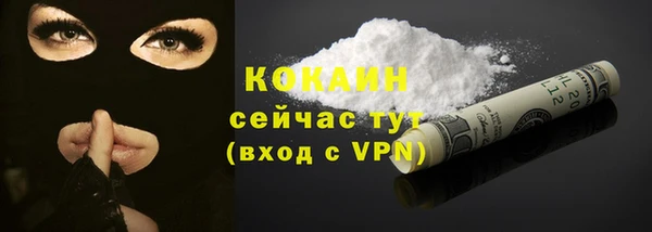 ГАЛЛЮЦИНОГЕННЫЕ ГРИБЫ Няндома