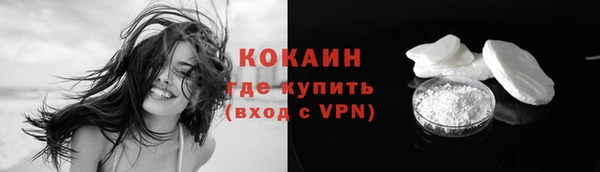 стаф Новокубанск