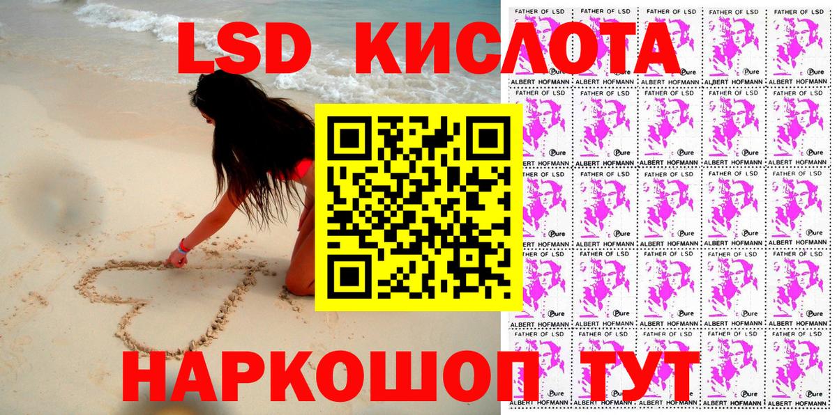 Бошки Шишки Кострома
