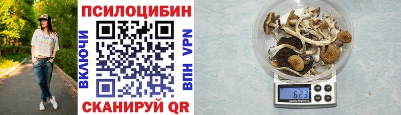 Псилоцибиновые грибы Psilocybe  Кострома 