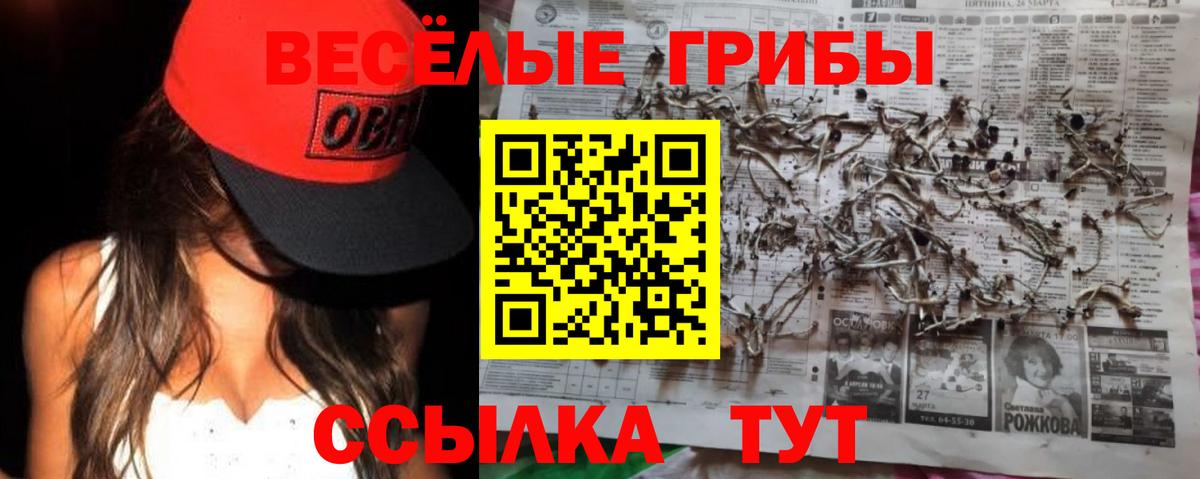 Галлюциногенные грибы мухоморы  Вход с VPN  Кострома 