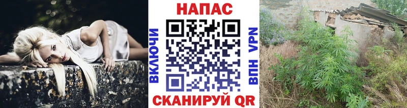 Бошки Шишки план  закладка  Кострома 