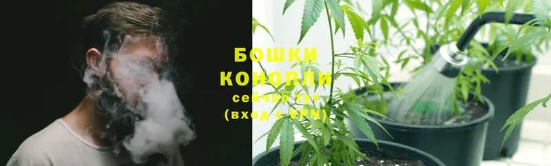 Канабис OG Kush  где купить наркоту  mega маркетплейс  Кострома 